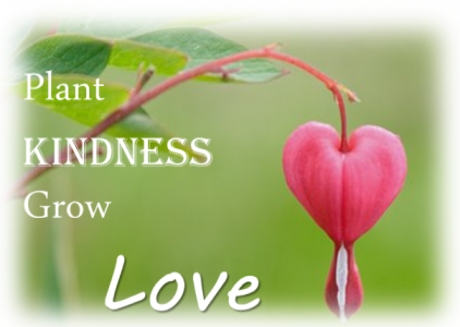 Seeds of Kindness