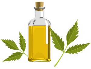 Pinpricks of a Busy Bee: Benefits of Neem Oil